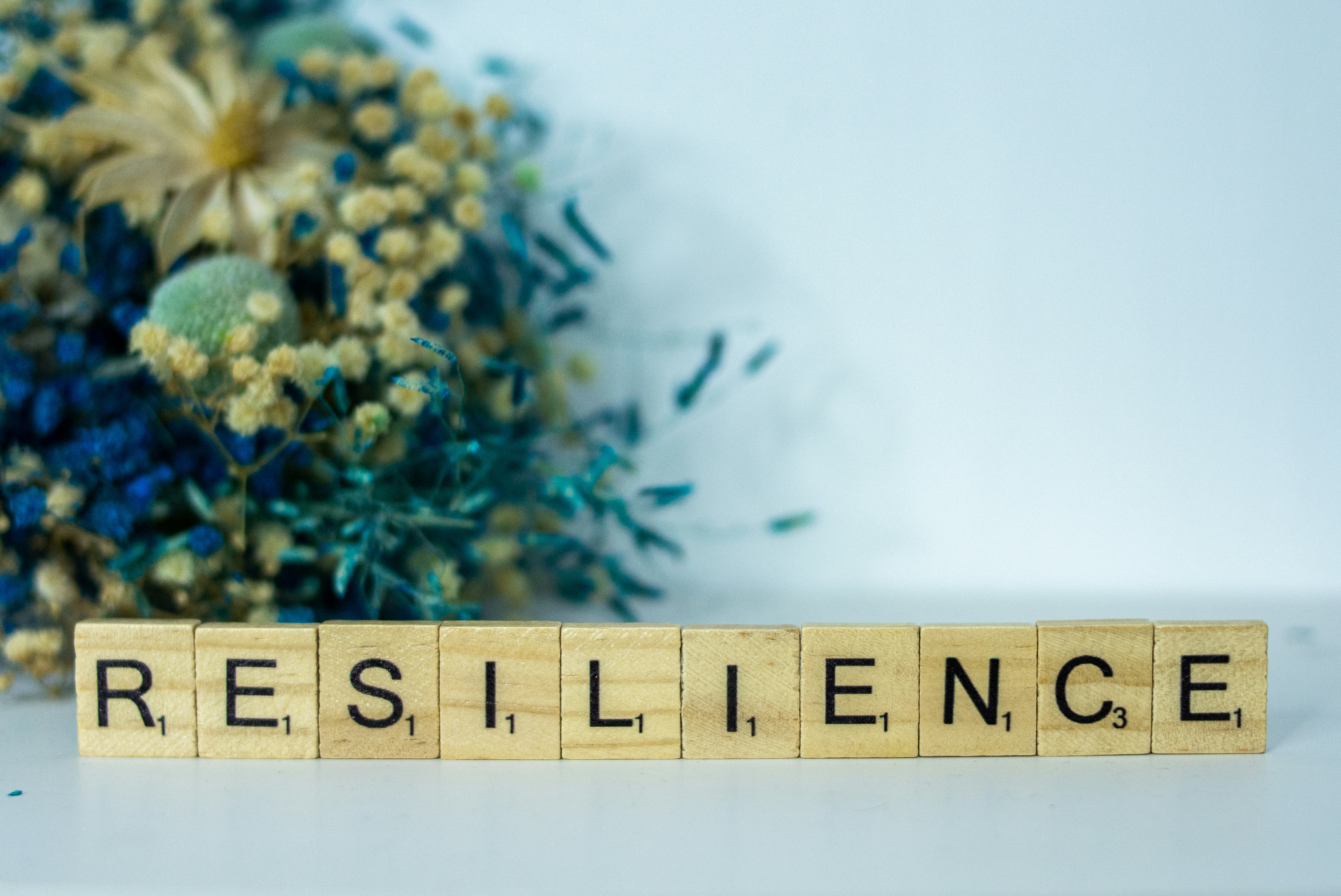 Building workforce adaptability