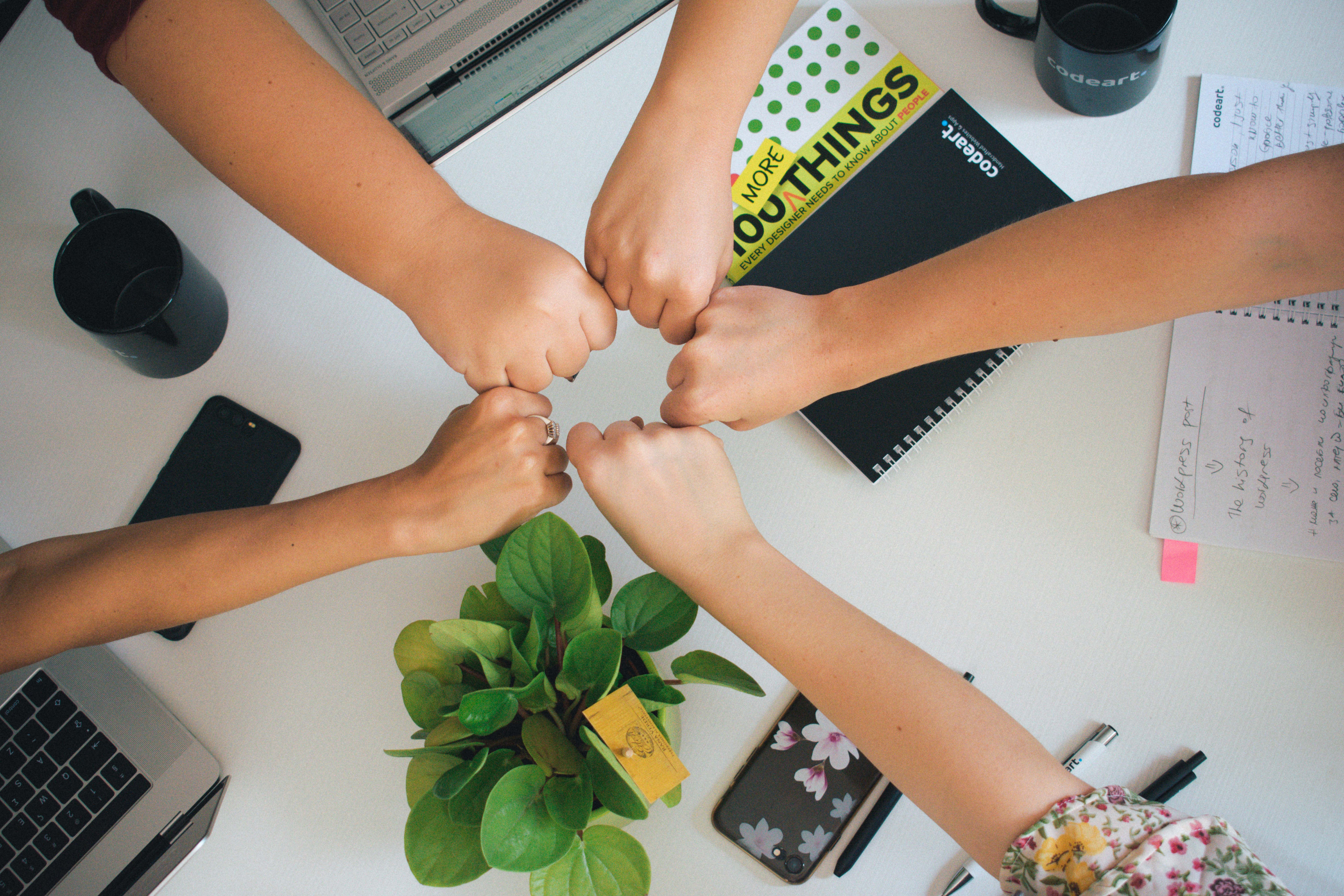 Building high performing teams