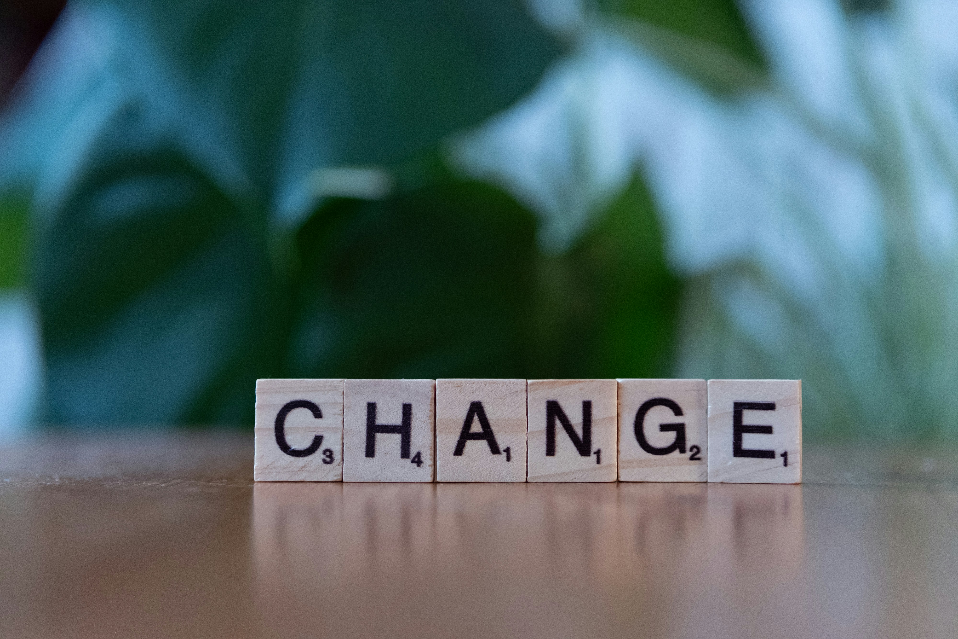 Supporting employees through transitions
